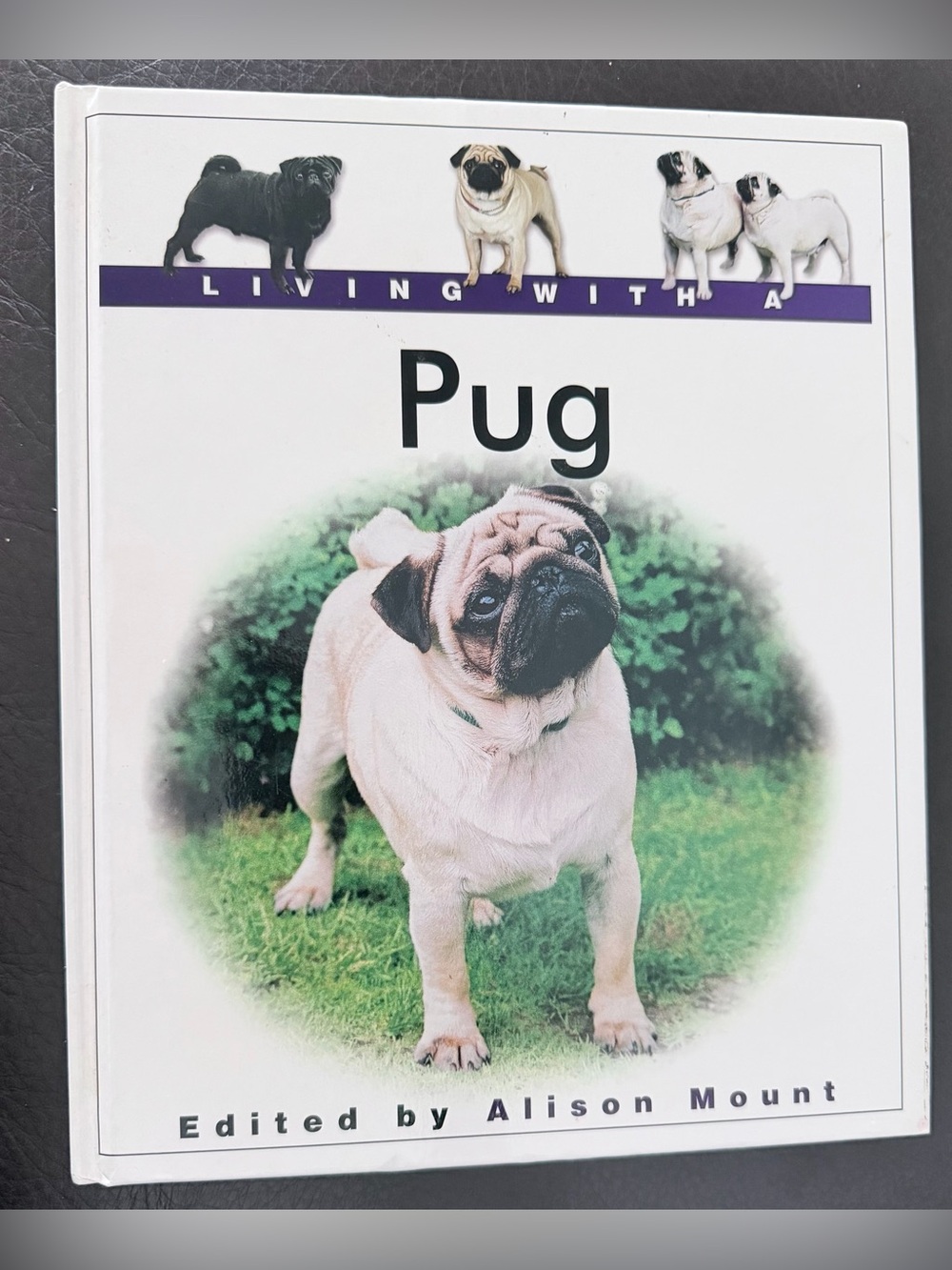 Living With a Pug Series Dogs Nonfiction by Alison Mount Paperback 1st Ed 2003